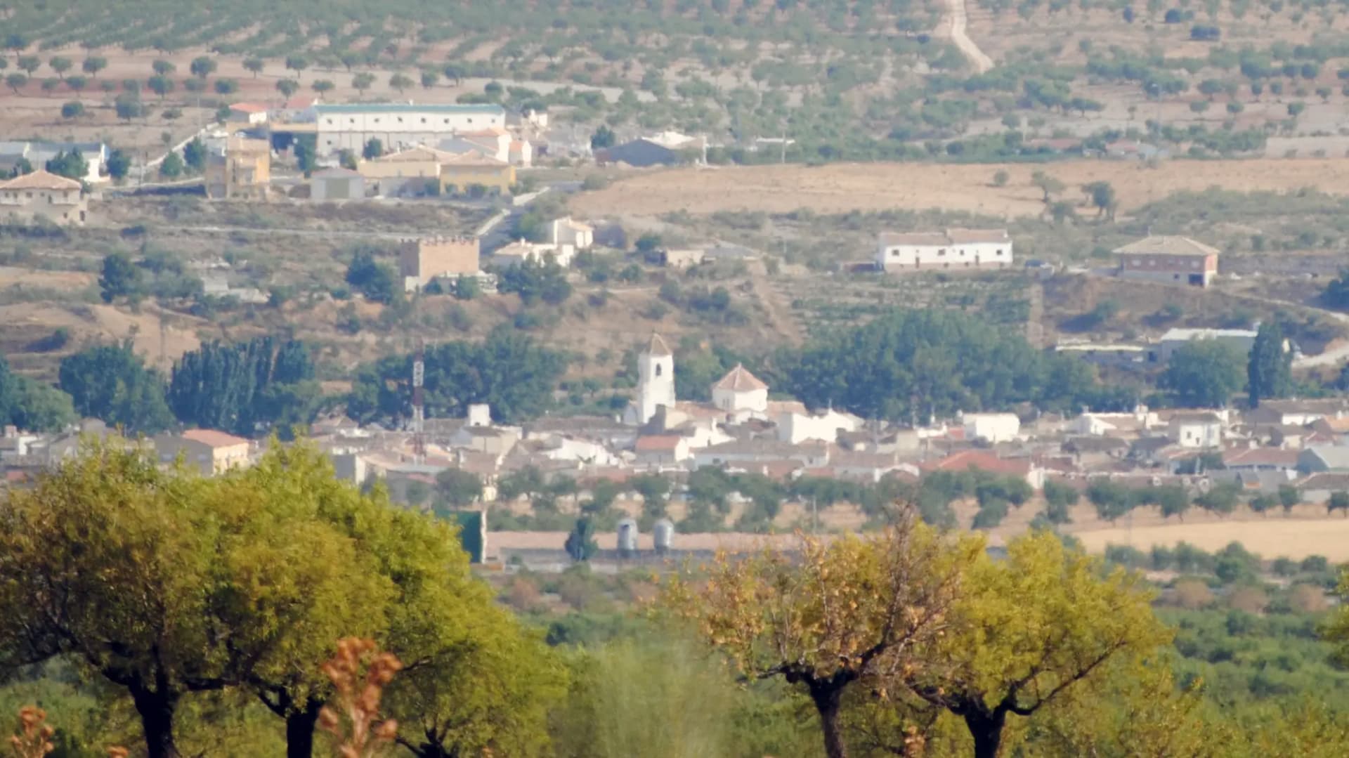 Chirivel entre campos y colinas de Los Vélez, con el pueblo al fondo