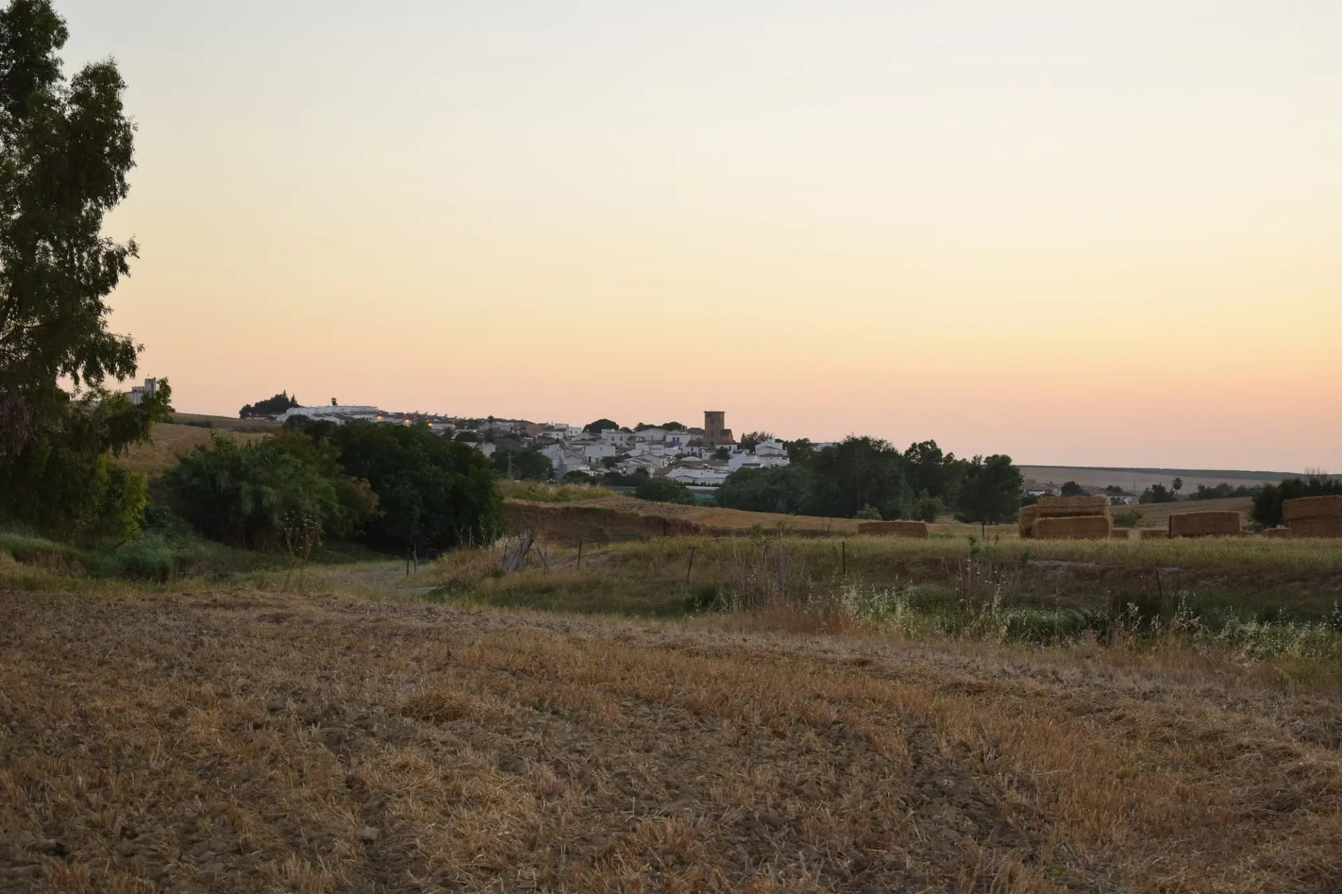 Panorámica de Guadalcázar desde el Camino de la Torvizca, con la campiña alrededor