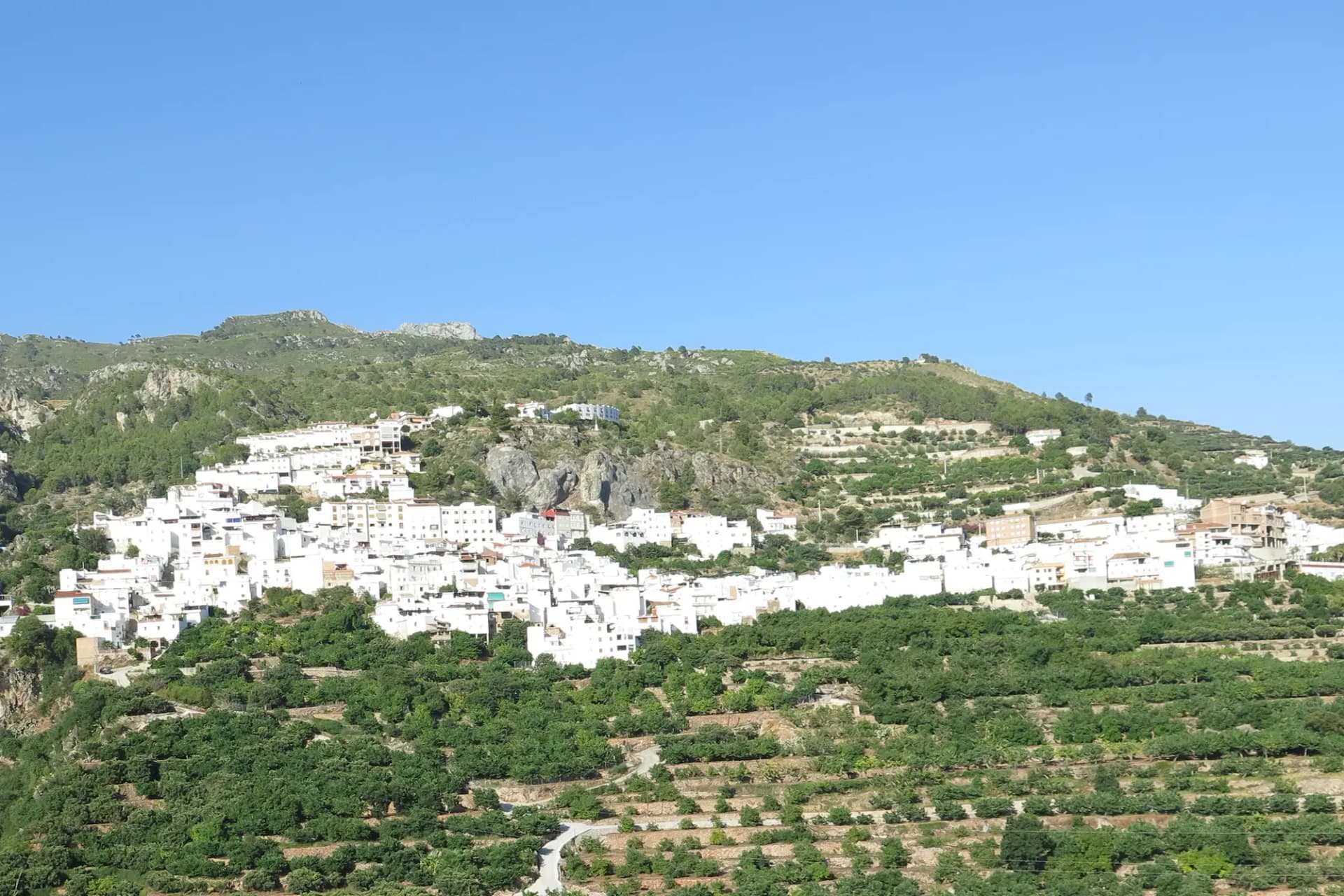 Casas blancas de Otívar en la ladera, rodeadas de bancales de cultivos subtropicales