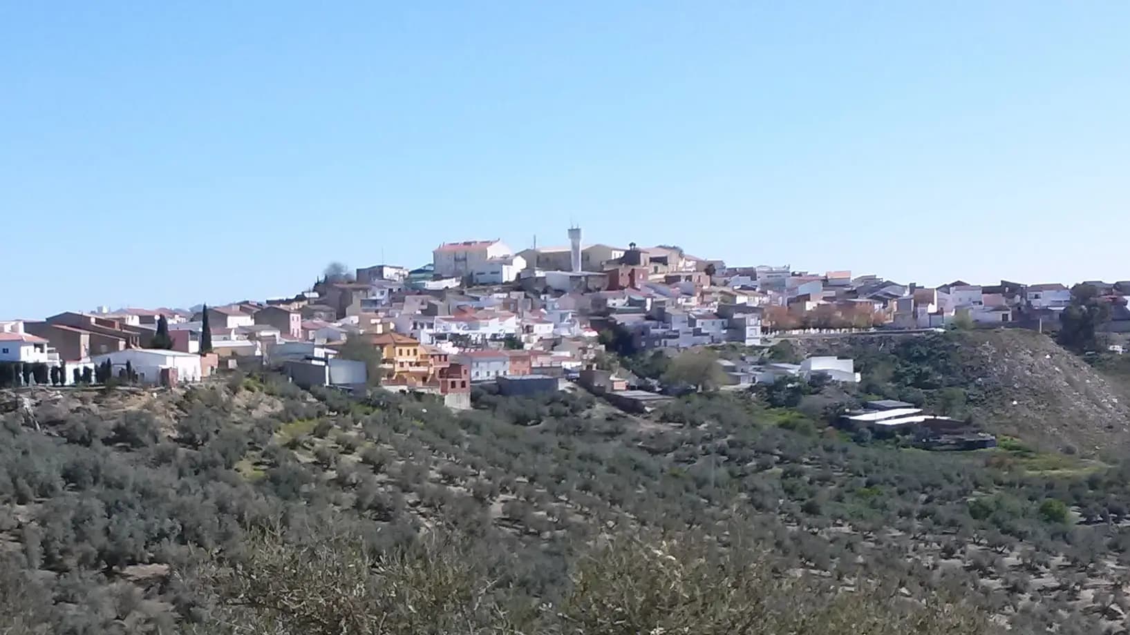 Vista de Jabalquinto, con el caserío sobre la loma y el olivar
