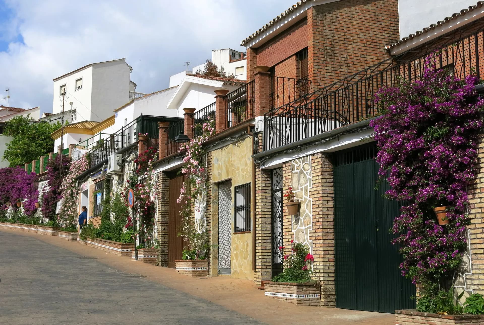 Calle estrecha con macetas floridas y casas encaladas en Benaoján
