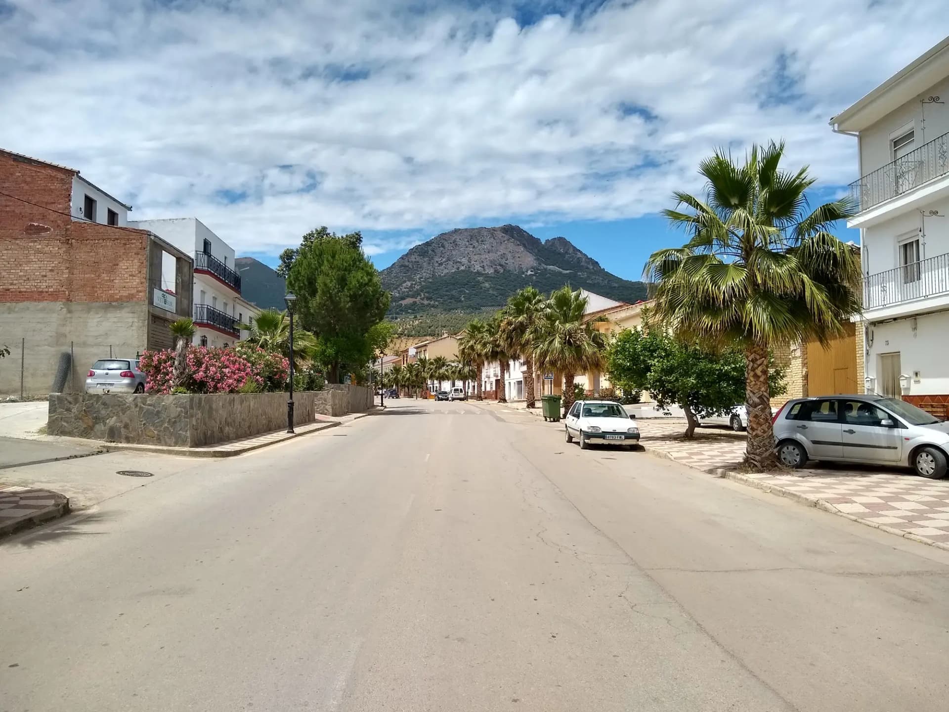 Calle de Algámitas con palmeras y casas blancas, y al fondo el perfil del Peñón