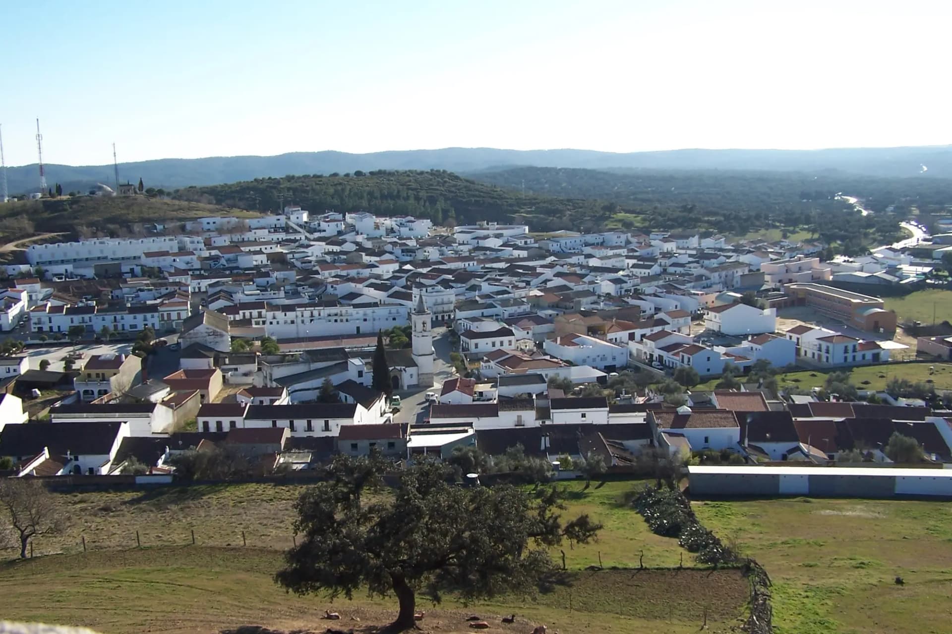 Vista del casco urbano de El Real de la Jara con sus casas blancas y una encina en primer plano