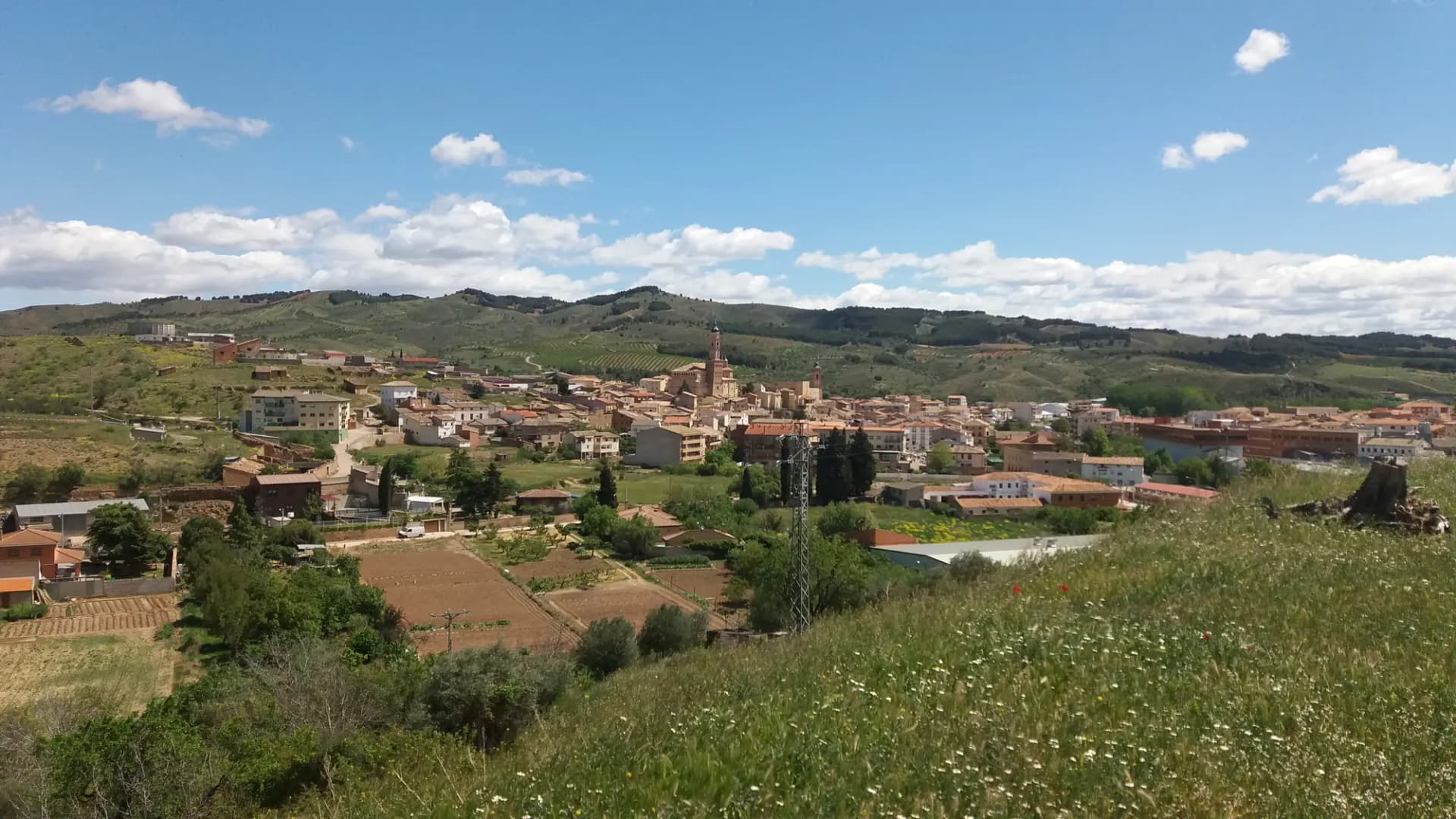Vista general de Ateca entre campos y colinas bajo un cielo con nubes