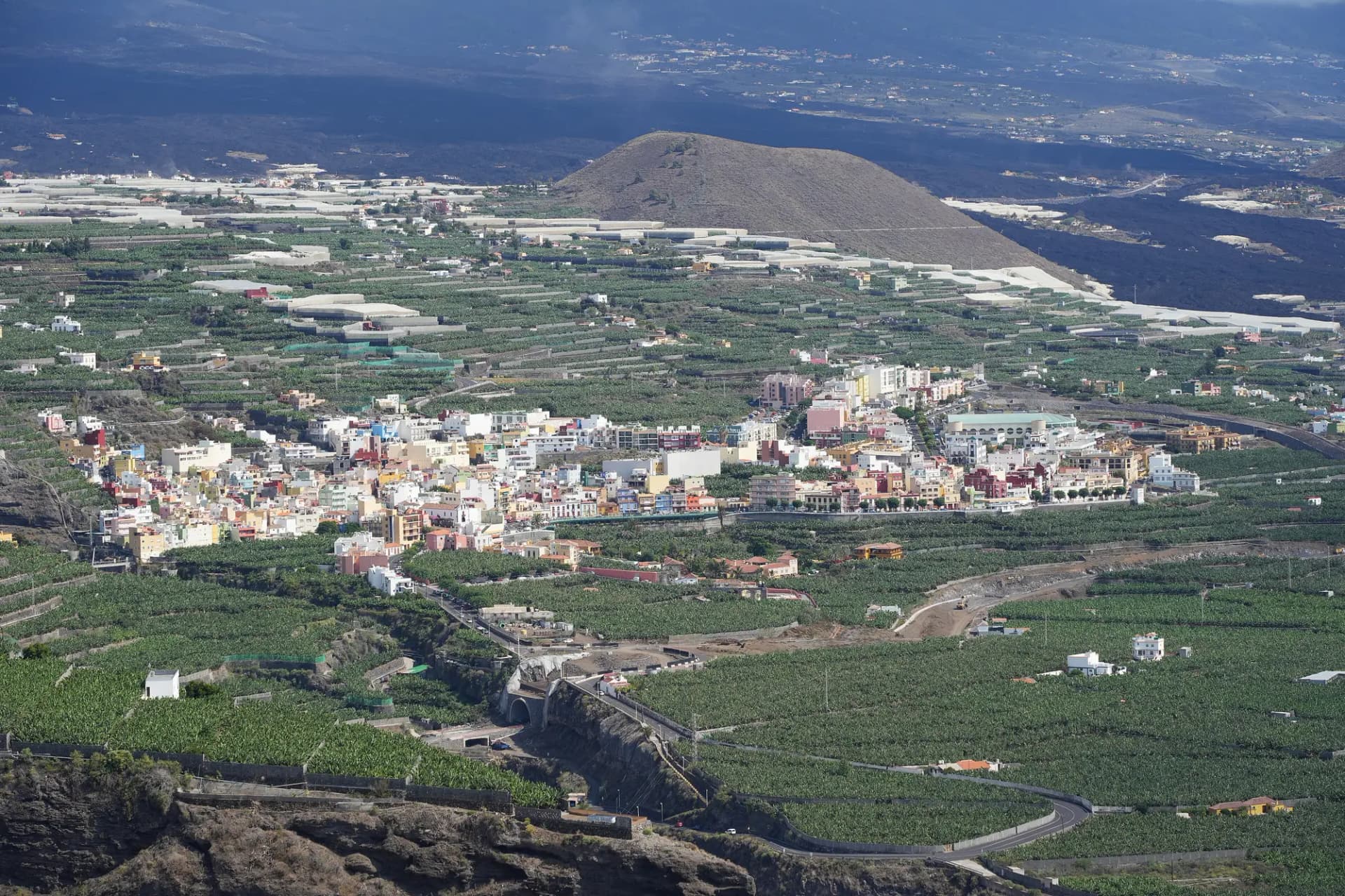 Casas de colores de Los Llanos de Aridane entre plataneras, con un cono volcánico al fondo