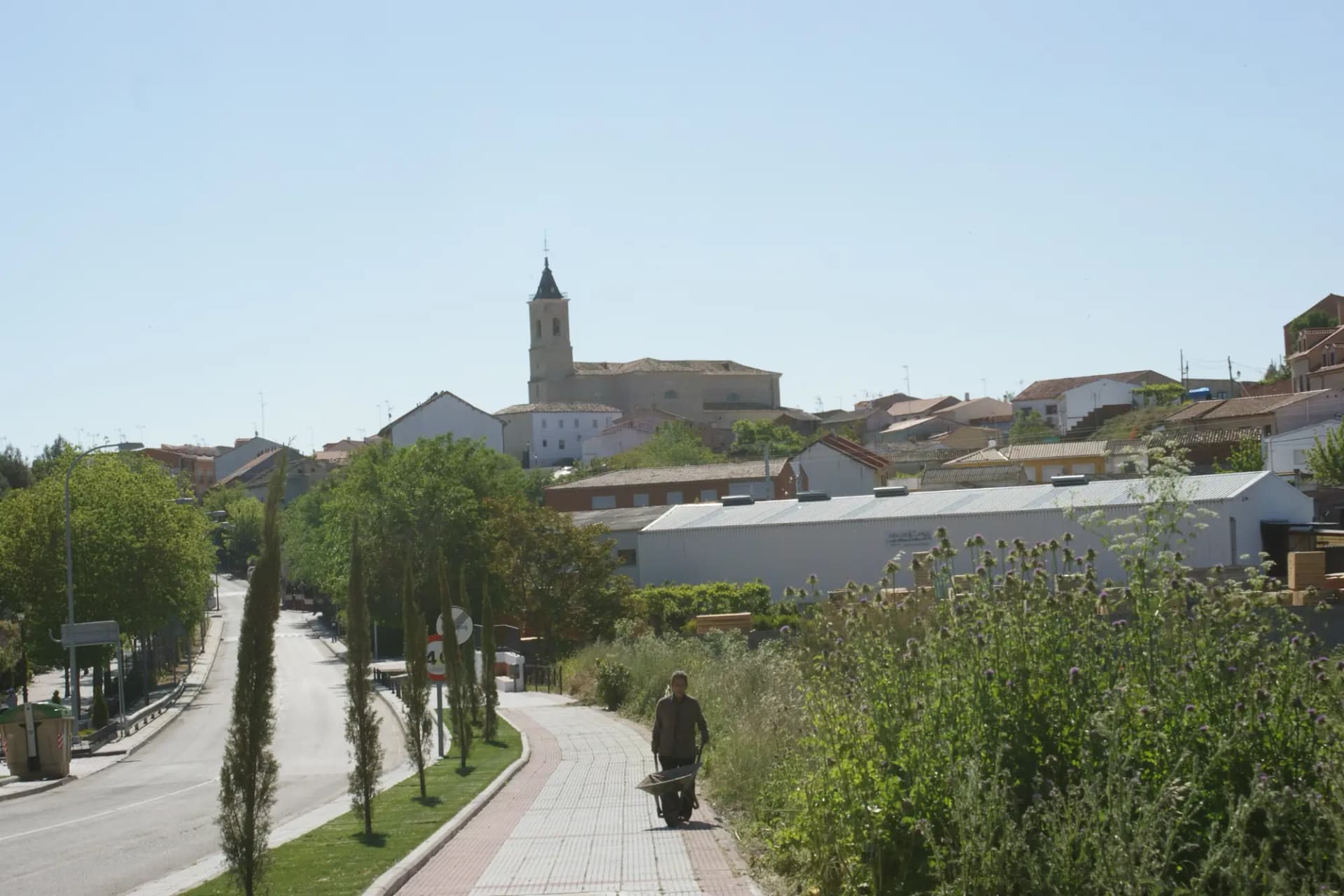 Calle arbolada de Seseña con la torre de la iglesia asomando sobre las casas