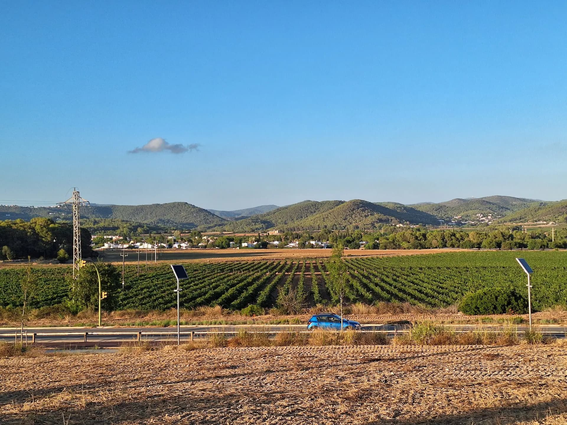 Viñedos de Sant Pere de Ribes con la masía de Can Macià y el macizo del Garraf al fondo