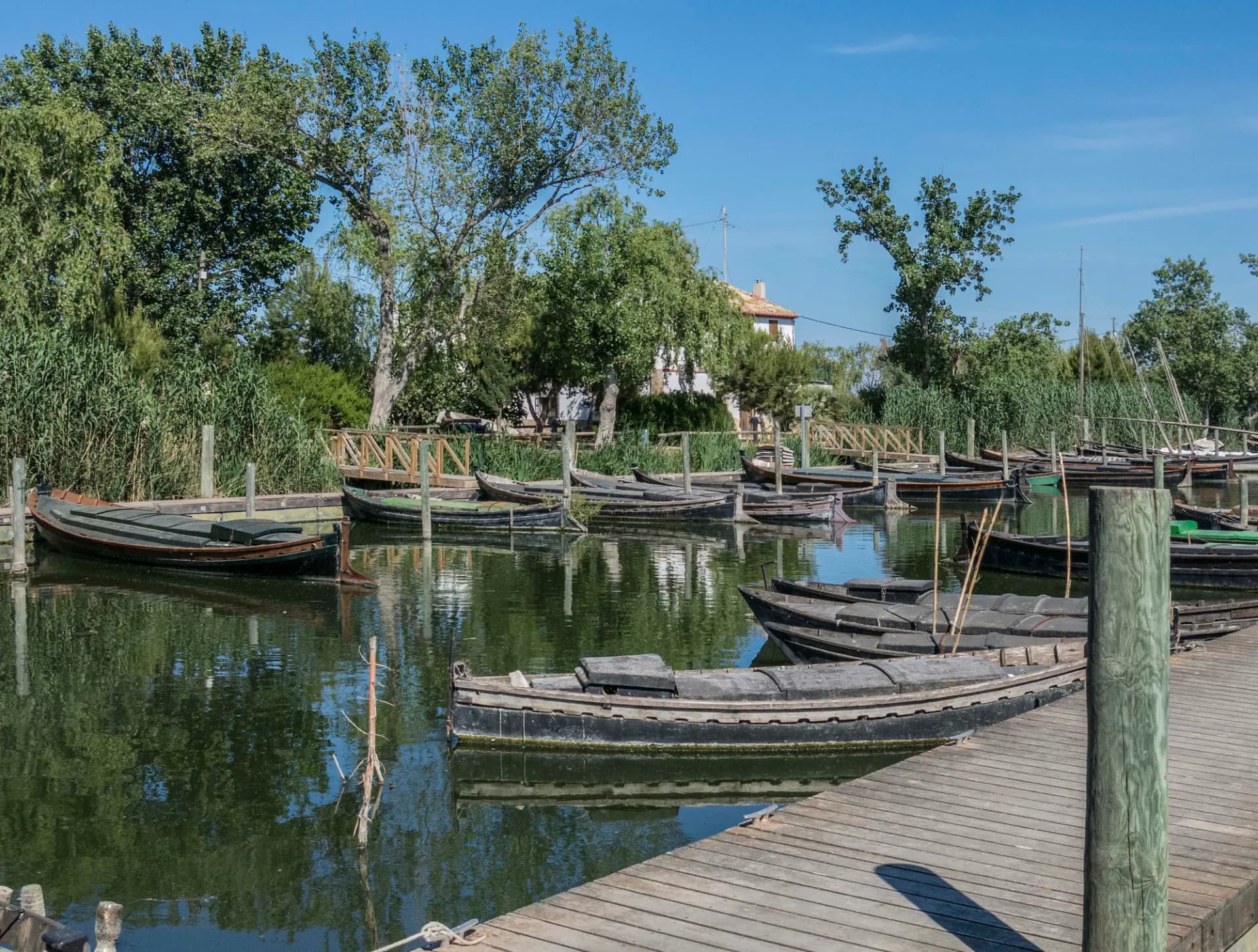 Barcas amarradas en el puerto de Catarroja, en la Albufera