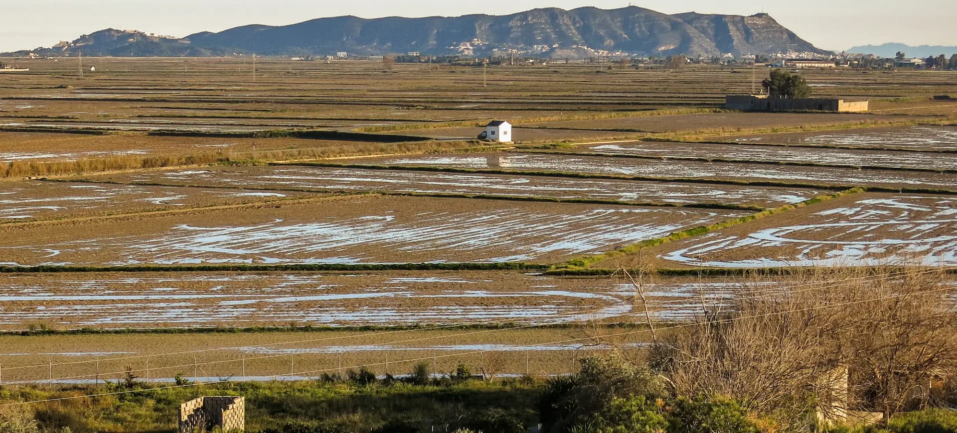 Arrozales de Sueca vistos desde la Muntanyeta dels Sants, con la montaña de Cullera al fondo