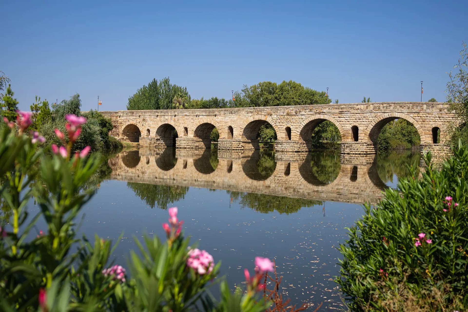Puente Romano de Mérida reflejado en el río Guadiana, con adelfas en flor en primer plano