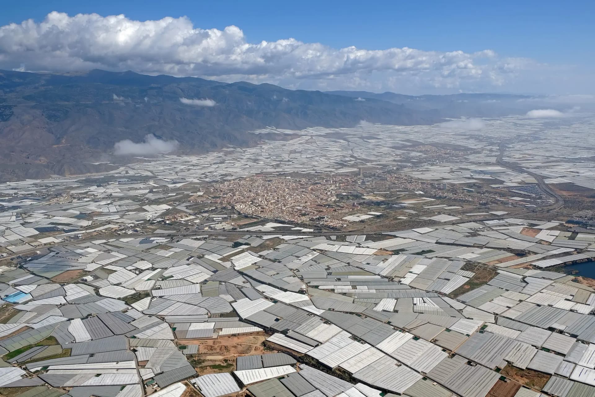 Vista aérea de El Ejido rodeado de invernaderos hasta la sierra
