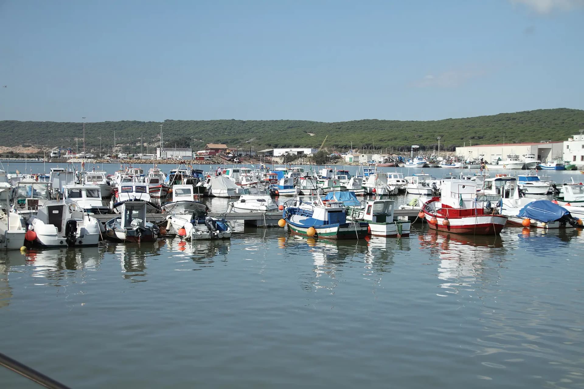 Barcas de pesca amarradas en el puerto pesquero de Barbate con la sierra de La Breña al fondo