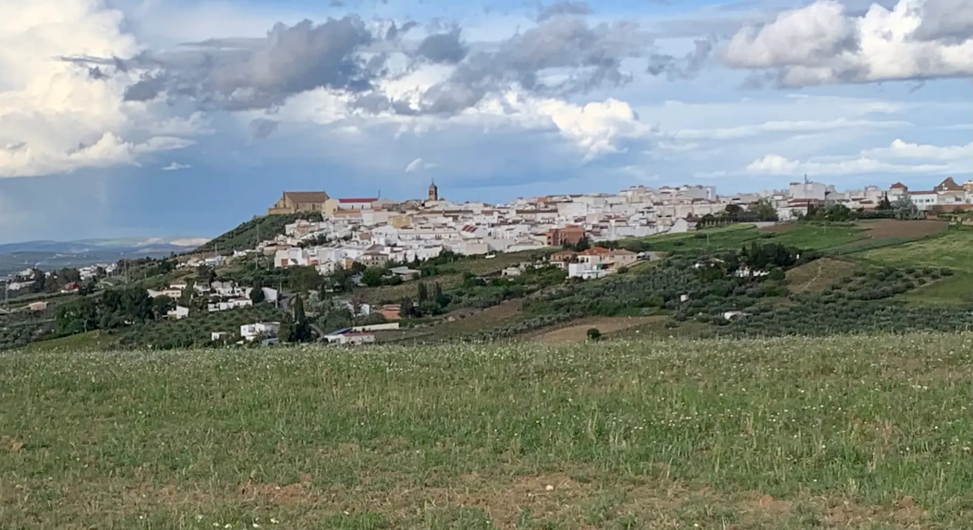 Vista general de Montilla con sus tejados y torres sobre la campiña