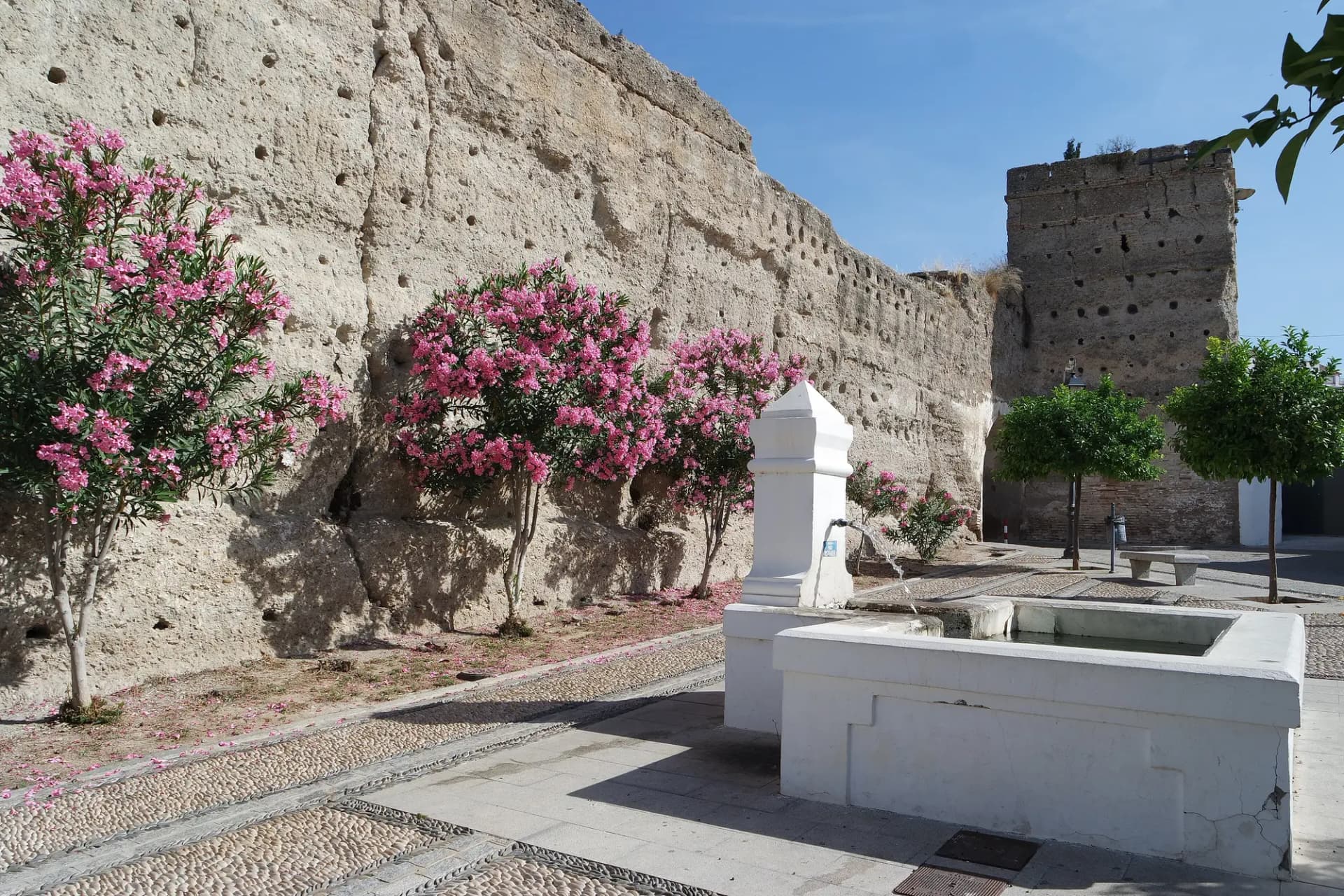 Lienzo de la muralla almohade de Palma del Río