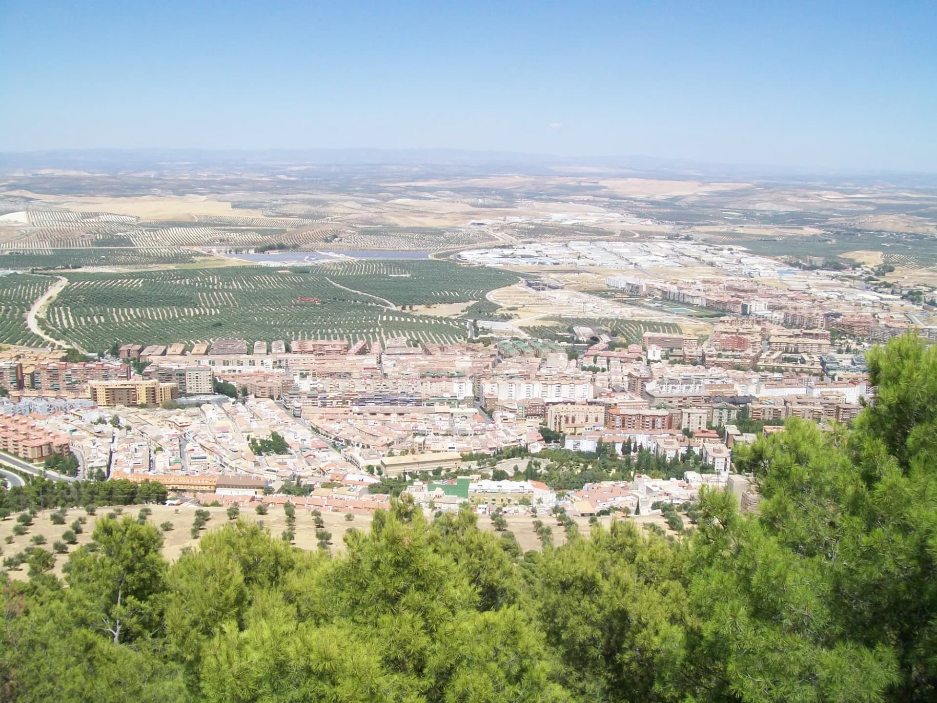 La ciudad de Jaén vista desde lo alto, con sus bloques de viviendas y campos de olivar al fondo
