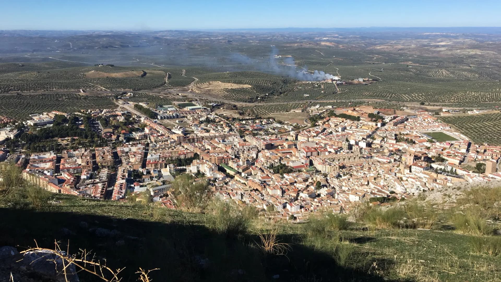 Vista de Martos desde lo alto, con el caserío blanco rodeado de olivares