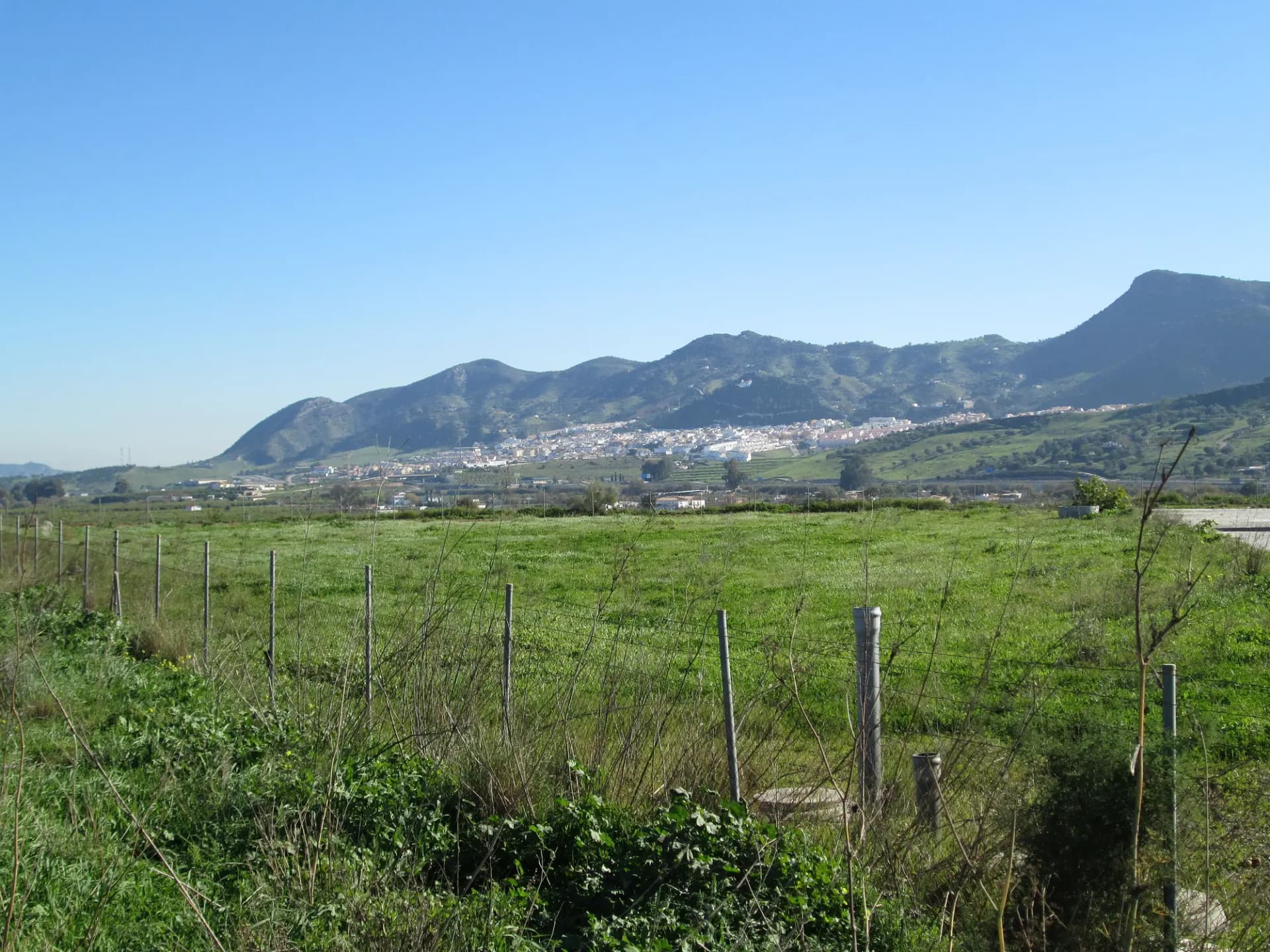 Campos de la vega y el pueblo de Cártama al pie de la sierra