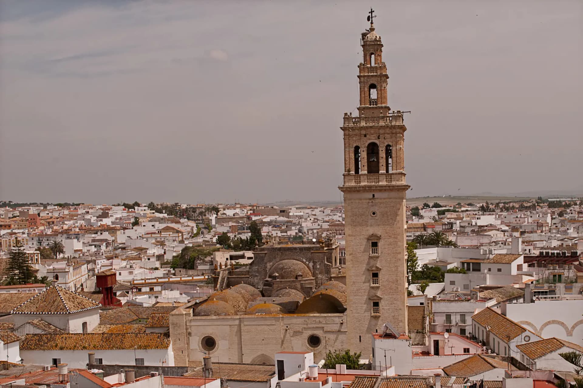Tejados de Lebrija con la torre de la iglesia de Santa María de la Oliva en el centro
