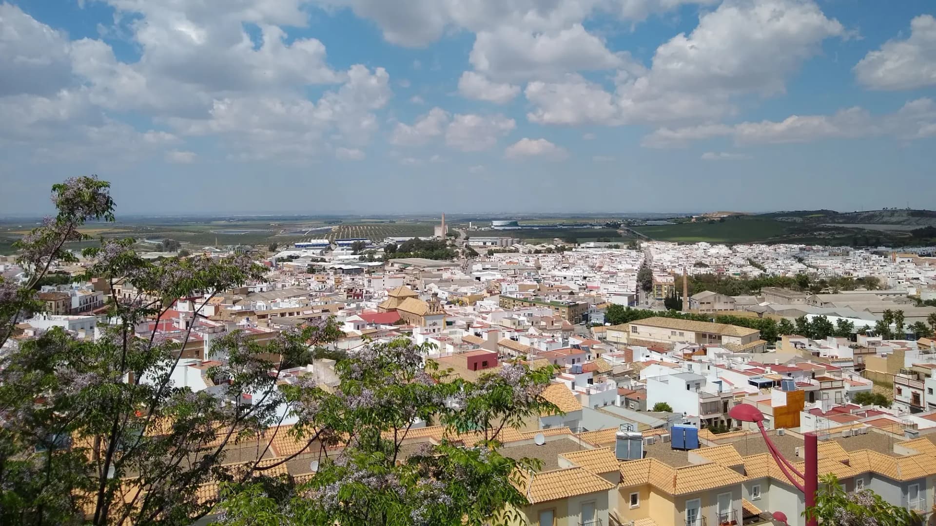 Vista de los tejados blancos de Morón de la Frontera desde el Paseo del Gallo