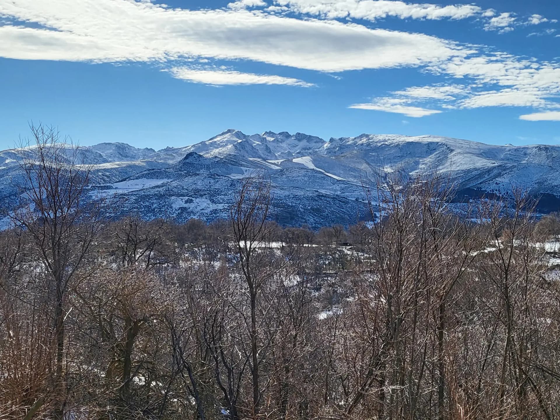 Cumbres nevadas de la sierra de Gredos con un bosque sin hojas en primer plano