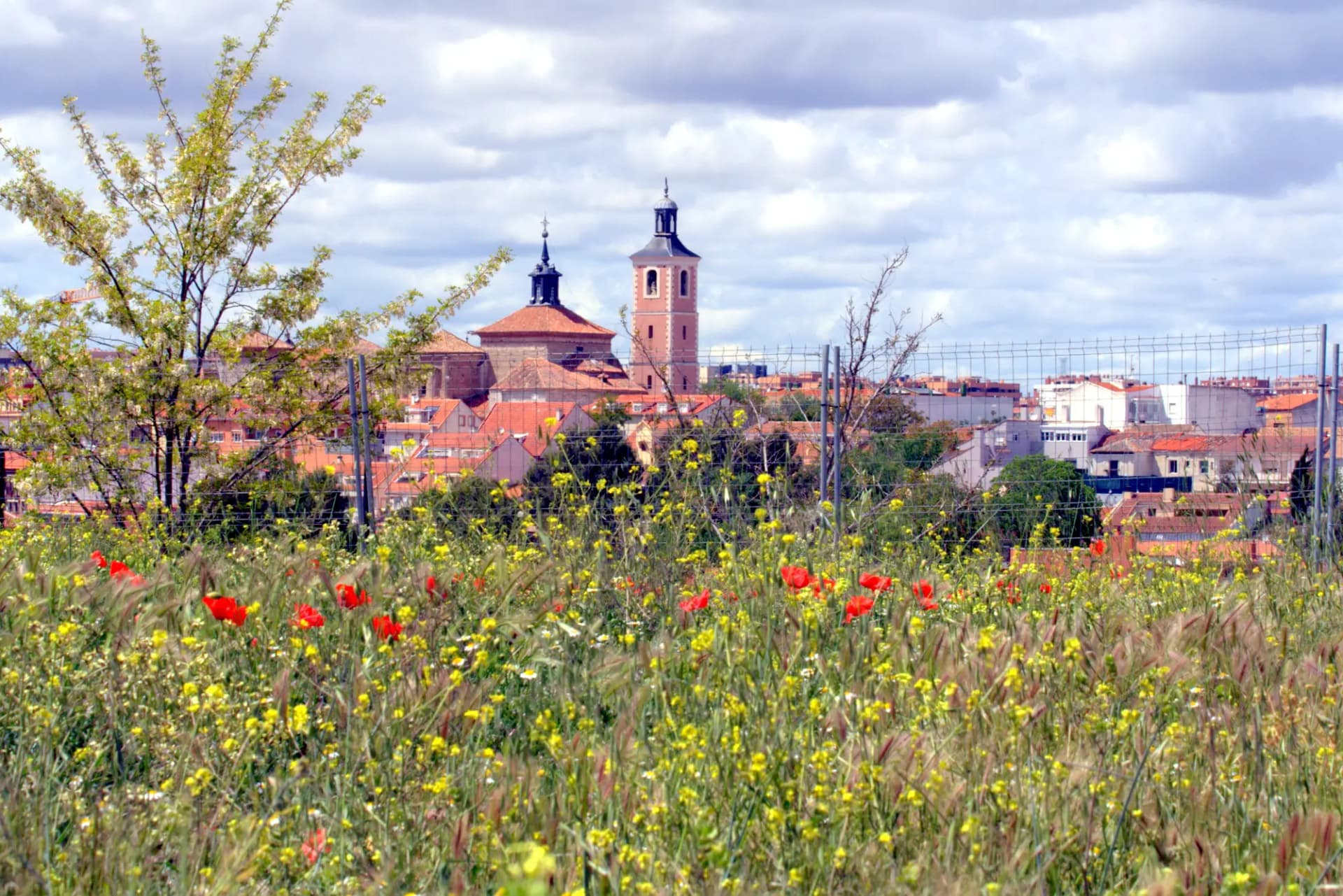 Vista de Valdemoro con la torre de su iglesia tras un campo de amapolas