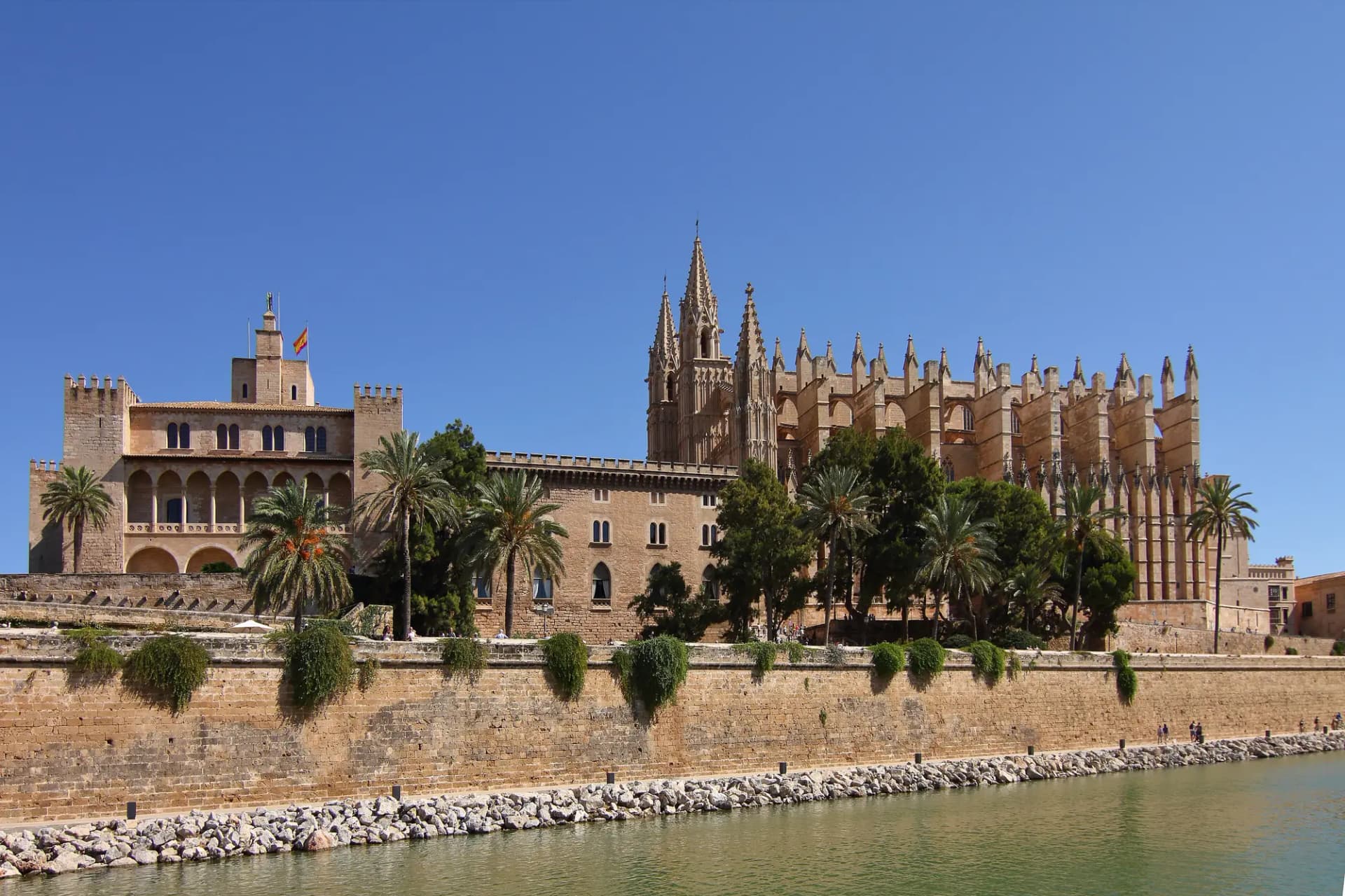 La catedral de Palma y el palacio de la Almudaina sobre la muralla, con palmeras y el agua del Parc de la Mar delante