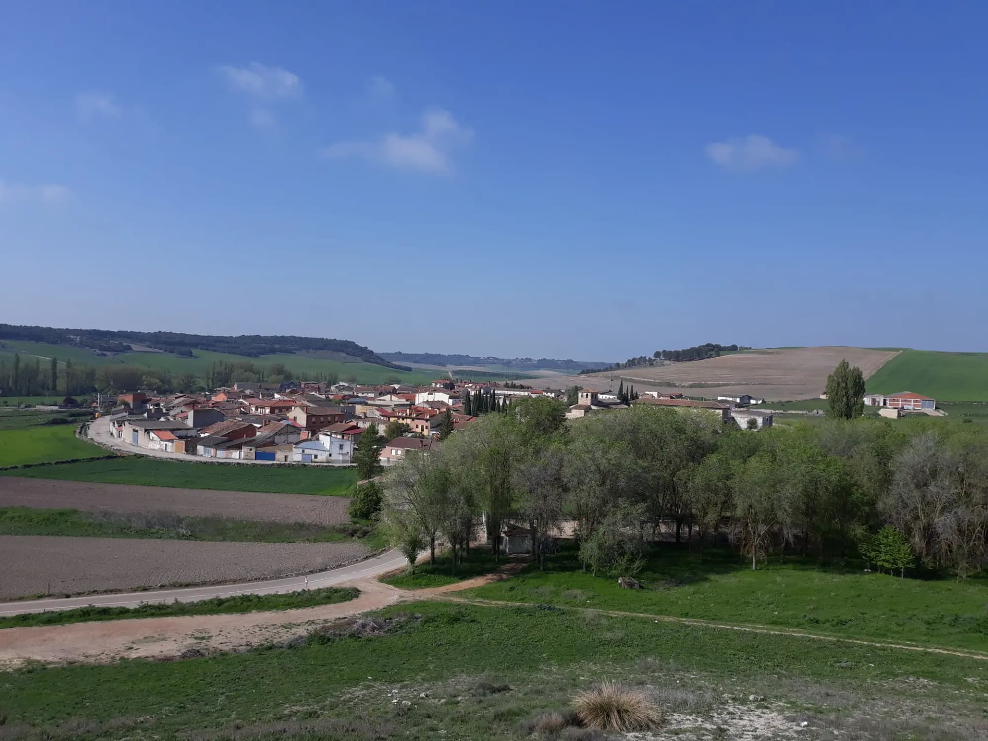 Panorámica de Wamba con el caserío entre campos y arboleda en los Montes Torozos