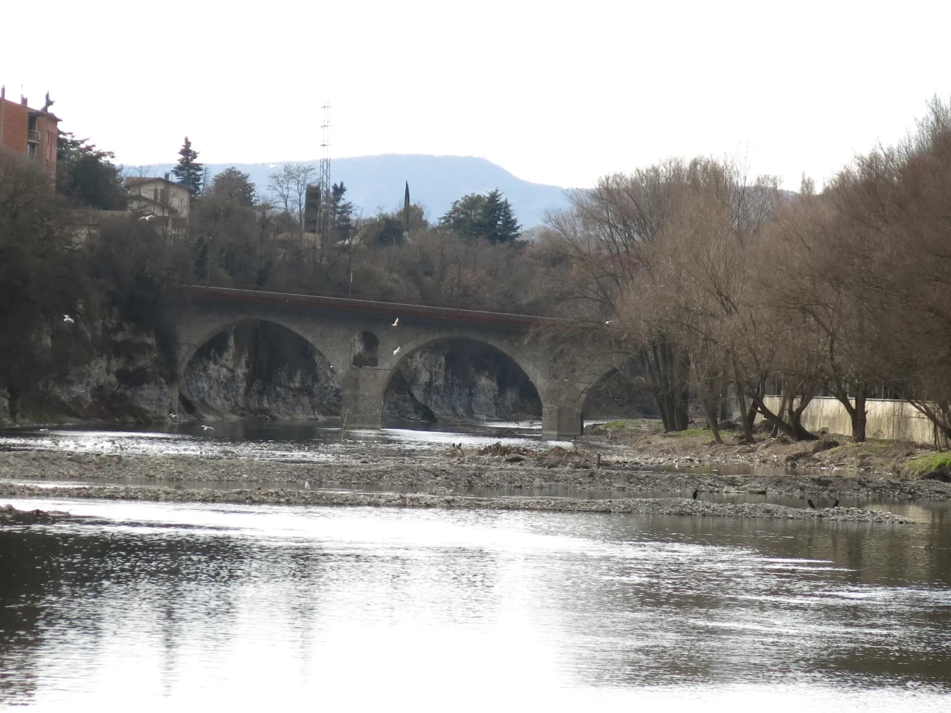 El río Ter a su paso por Manlleu con el puente de piedra de Can Molas y árboles en la orilla